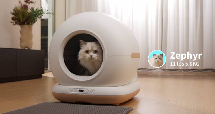 Zephry Cat 1 Smart Cat Litter Box