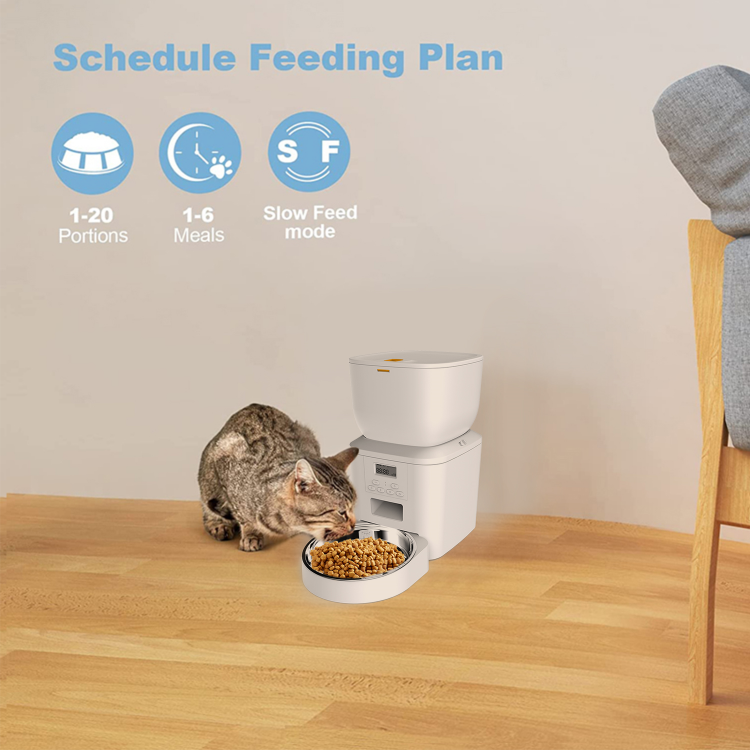 Petrust®️ QQ022 Automatic Pet Feeder Detailed Image2 1 Petrust®️ QQ022 Smart Pet Feeder with Voice Recording