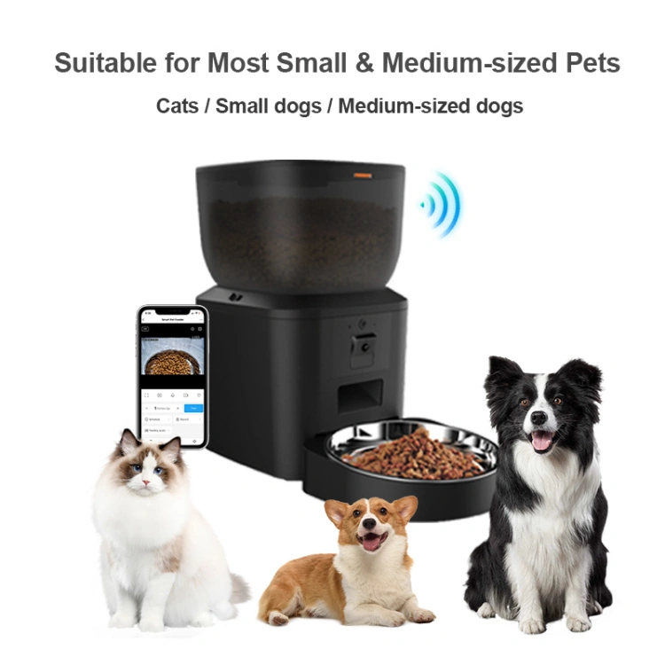 Petrust®️ QQ029 1080P Camera WiFi Pet Feeder Detailed Image1 Petrust®️ QQ029 Wifi Pet Feeder with Camera