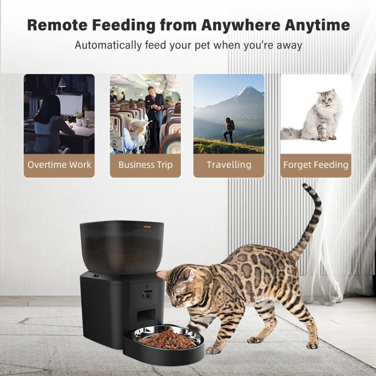 Petrust®️ QQ029 1080P Camera WiFi Pet Feeder Detailed Image11 Petrust®️ QQ029 Wifi Pet Feeder with Camera