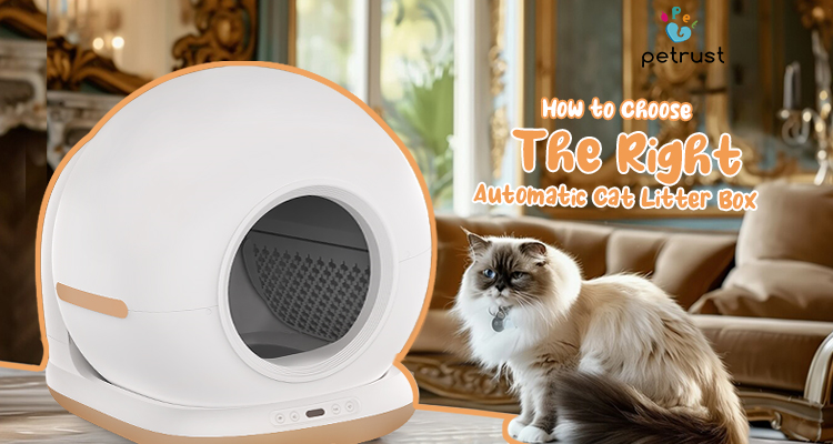 How to Choose the Right Automatic Cat Litter Box – Petrust Smart Self-Cleaning Litter Box