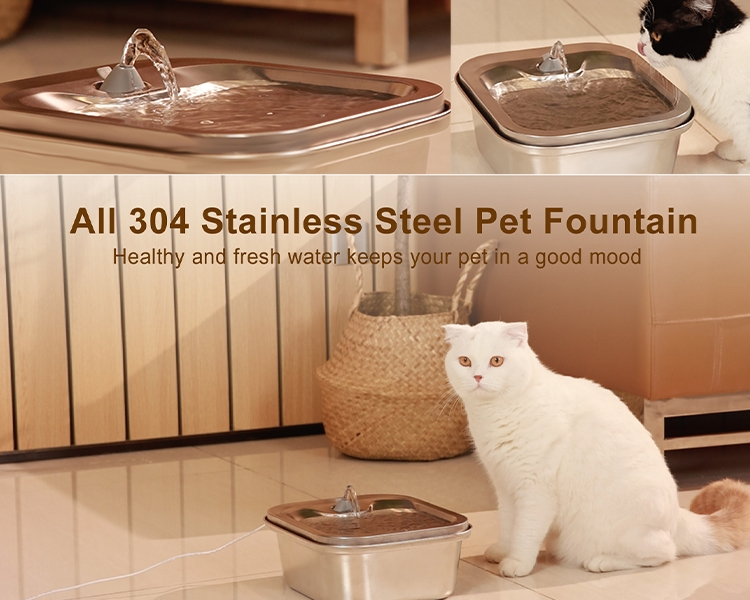 304 Stainless Steel Cat Water Fountain – Durable & Hygienic Pet Hydration System