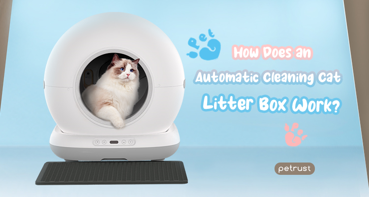 How Does an Automatic Cleaning Cat Litter Box Work? – Smart Self-Cleaning Pet Care Solution