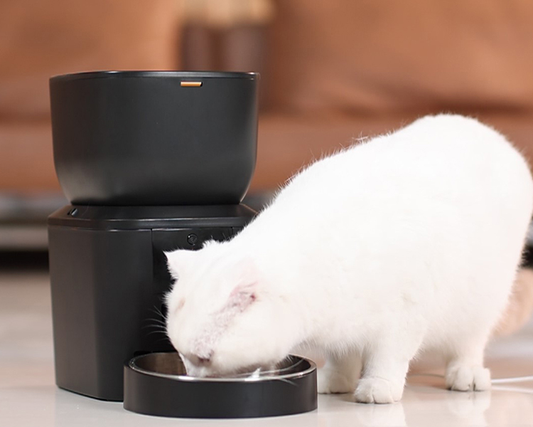 Automatic Pet Feeder Boosts Health 3 of 10 Best Ways Automatic Pet Feeder Boosts Pet Health & Convenience Pet Health Boost with Petrust Automatic Pet Feeder for Cats