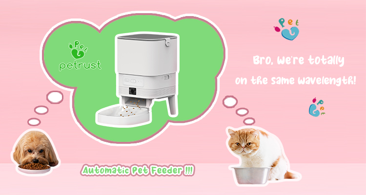 Automatic Pet Feeder Boosts Health of 10 Best Ways Automatic Pet Feeder Boosts Pet Health & Convenience Petrust Automatic Pet Feeder - Promoting Healthy Eating for Cats and Dogs