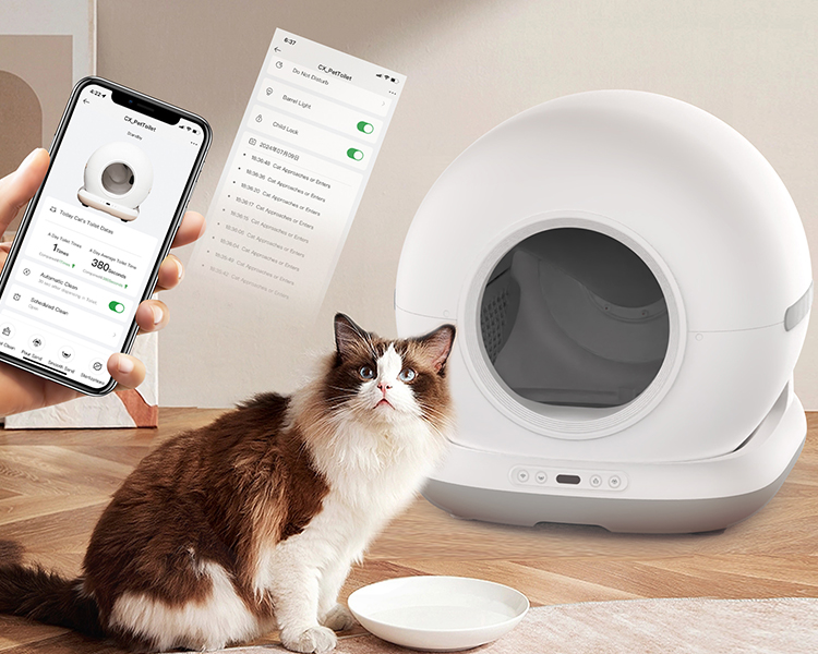 Smart automatic cat litter box with app control and a cat observing