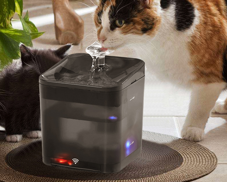 Best Cat Water Fountain 1 of How to Choose the Best Cat Water Fountain for Maximum Freshness 2025 Petrust Best Automatic Cat Water Fountain – Fresh, Clean Hydration for Cats