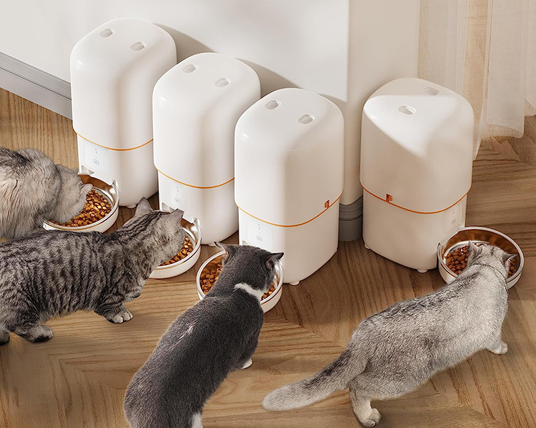 Multi-Cat Automatic Feeder – Best Smart Feeding Solution for Multiple Pets