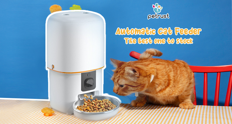 Petrust Automatic Cat Feeder – Best Smart Feeder for Reliable Pet Feeding