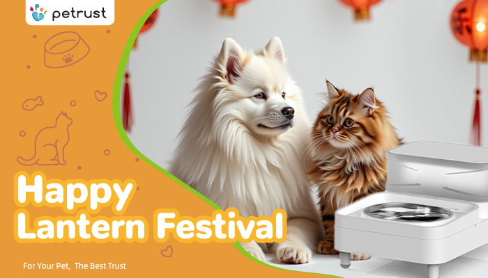 Lantern Festival Smart Pet Solutions Tradition Meets Innovation Lantern Festival & Smart Pet Solutions: Tradition Meets Innovation