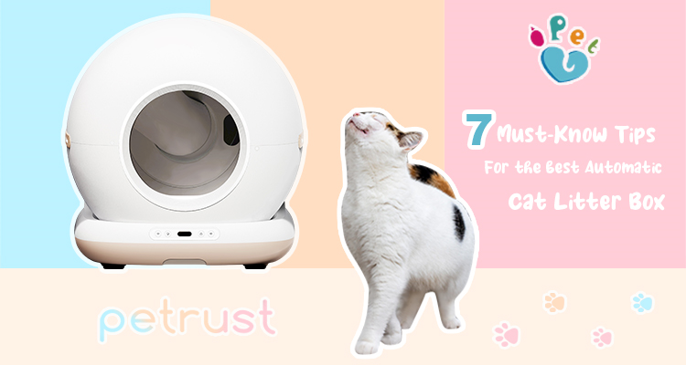 Tips for choosing the best automatic cat litter box, with a cat beside the product