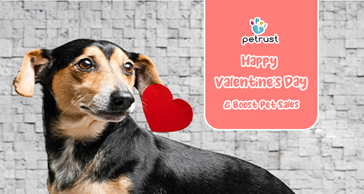 Valentines Day with Petrusts Smart Solutions Boost Pet Sales This Valentine's Day with Petrust's Smart Solutions