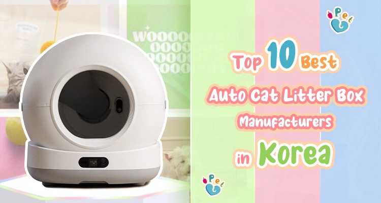 Top 10 Best Automatic Cat Litter Box Manufacturers in Korea – Smart Self-Cleaning Solutions