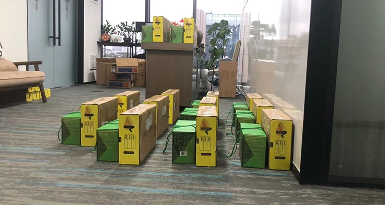 Dragon Boat Festival 2025 Gifts from Petrust Shenzhen Chongxin Technology Co.Ltd . 2 of Dragon Boat Festival 2025: What Global Buyers Should Know Dragon Boat Festival 2025 gift distribution at Petrust's Shenzhen office