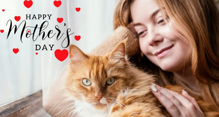 Happy Mothers Day for Pet Mom of Best Mothers Day 2025 Smart Pet Product Ideas | OEM/ODM Petrust® Celebrate Mothers Day 2025 with smart pet product ideas and heartfelt OEM/ODM support from Petrust.