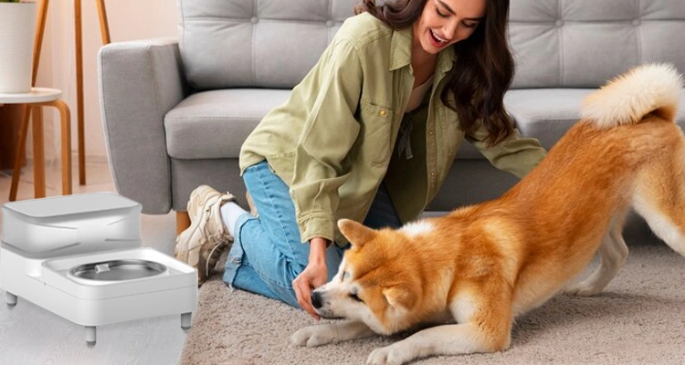 Pet Water Fountain from Petrust for Large Dog of Best Mothers Day 2025 Smart Pet Product Ideas | OEM/ODM Petrust® Smart pet fountain for large dogs—innovative OEM/ODM product idea for Mothers Day gifting.