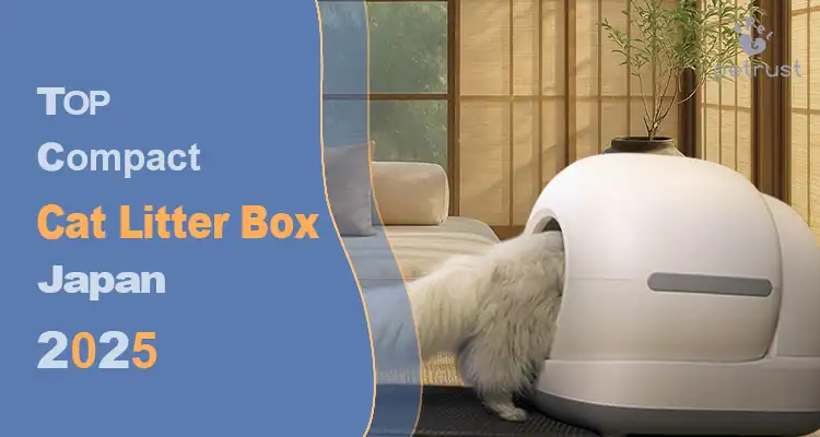 Modern interior scene featuring a fluffy cat entering a compact cat litter box Japan design, ideal for space-saving homes.