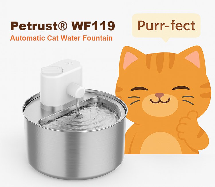 Petrust® WF119 stainless steel model recommended in Automatic Cat Water Fountain vs Bowl comparisons for hygiene and durability.