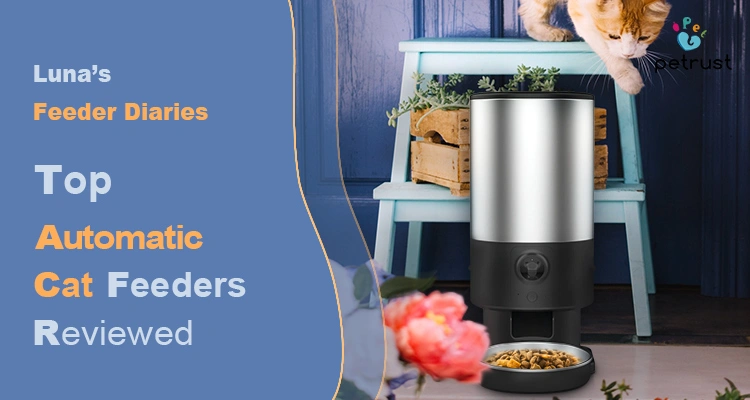 Top Automatic Cat Feeders 2025 reviewed with cat and feeder device
