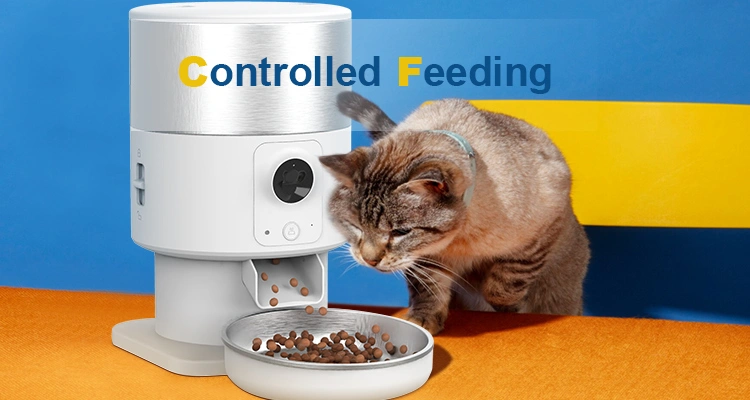 A tabby cat approaching a white automatic feeder dispensing food, symbolizing positive changes achieved as an automatic cat feeder prevent obesity.