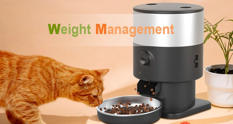 An orange cat sniffing dispensed kibble from a black and silver automatic feeder, representing the role of the right automatic cat feeder prevent obesity.