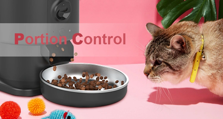 A cat watching kibble dispense from an automatic feeder, demonstrating how precise portion control from an automatic cat feeder prevent obesity.