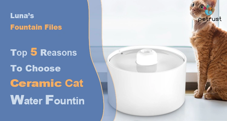 An orange cat sits next to a pristine white ceramic cat water fountain, highlighting the benefits of choosing this type of fountain for feline hydration, as part of 'Luna's Fountain Files'.