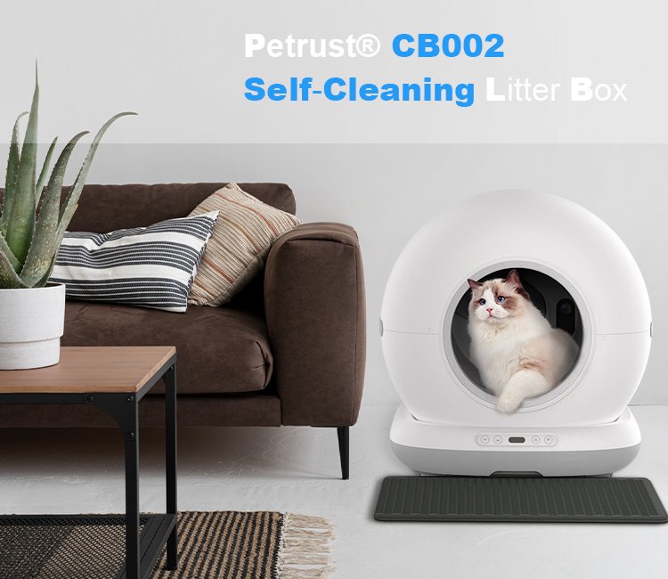 Petrust CB002 Best Self-Cleaning Litter Box with cat inside