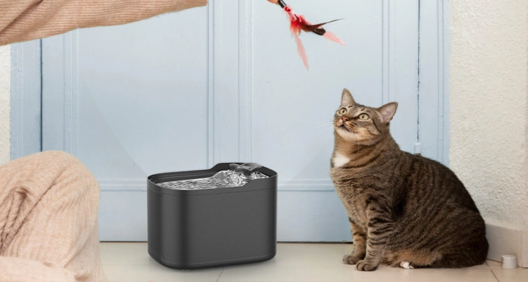 Cat Water Fountain Benefits for Both Cats and Humans Proven Cat Water Fountain Benefits for Cats (and Owners) | Luna’s Fountain Files