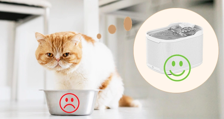 Cat Water Fountain Benefits for Cats Proven Cat Water Fountain Benefits for Cats (and Owners) | Luna’s Fountain Files