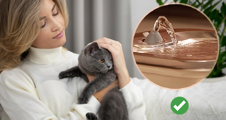 Cat Water Fountain Benefits for Owners Proven Cat Water Fountain Benefits for Cats (and Owners) | Luna’s Fountain Files
