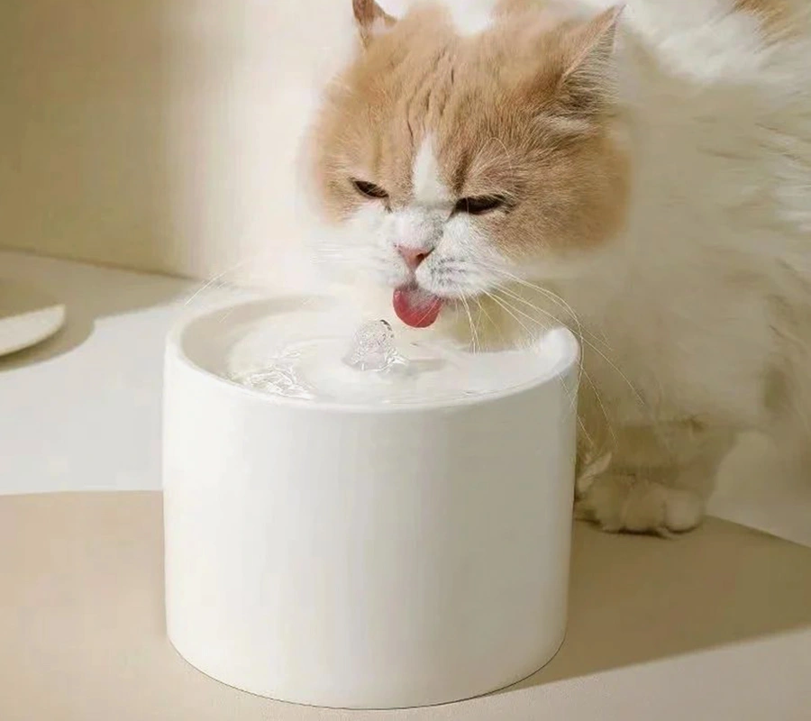 A fluffy cat drinking from a white ceramic minimalist OEM cat water fountain with bubbling water, highlighting modern design options.