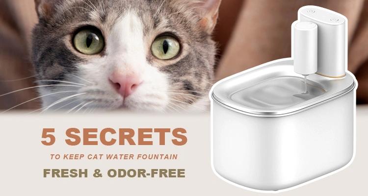 A close-up of a cat with green eyes looking at a white pet water fountain, emphasizing the importance of a clean cat water fountain for pet health.