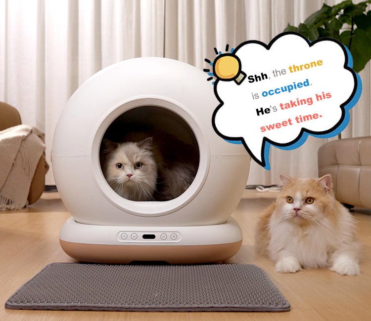 A fluffy Persian cat peers out from a modern, automatic large cat litter box while another cat lies nearby, illustrating how a large cat litter box vs regular provides ample space. A speech bubble says, "Shh, the throne is occupied."