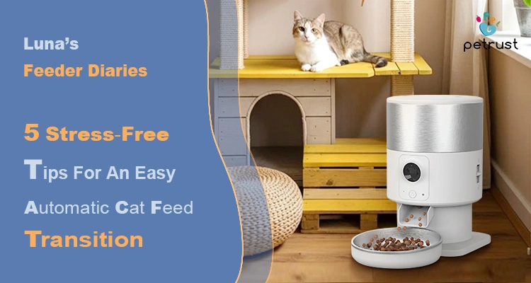 A cute tabby cat resting on a cat tree next to a modern automatic cat feeder, illustrating "5 Stress-Free Tips For An Easy Automatic Cat Feeder Transition."