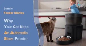 A cat looks at a black Petrust automatic slow feeder dispensing food, while a child plays in the background, demonstrating why your cat needs an automatic slow feeder.