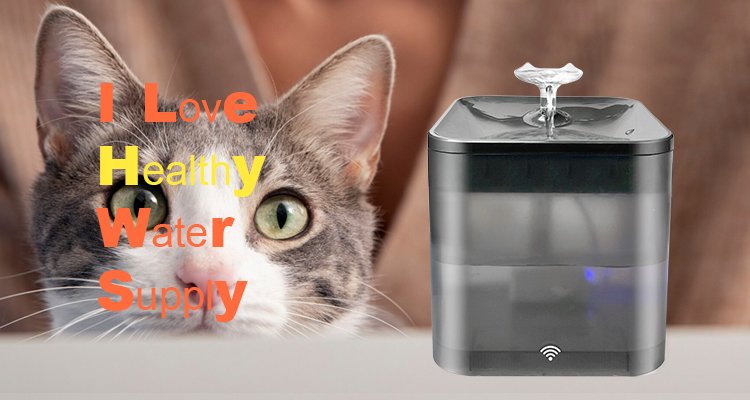 A cat with bright green eyes looking at a clear Petrust WF004 square water fountain for cats, with text "I Love Healthy Water Supply," promoting fresh hydration.