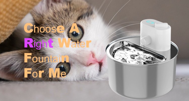 A cute kitten peeking out, next to a modern stainless steel water fountain for cats, with text "Choose A Right Water Fountain For Me," guiding pet owners.