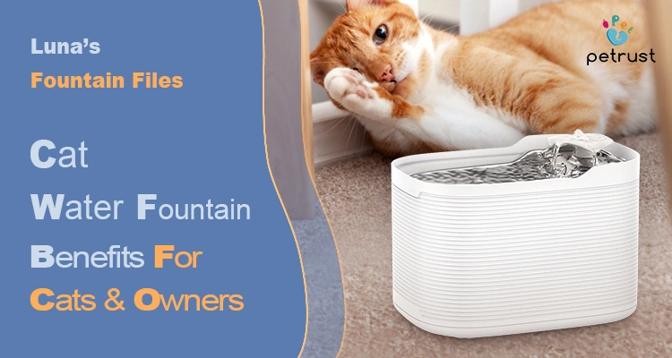 A ginger cat resting next to a white cat water fountain, illustrating the Cat water fountain benefits for both pets and their owners.