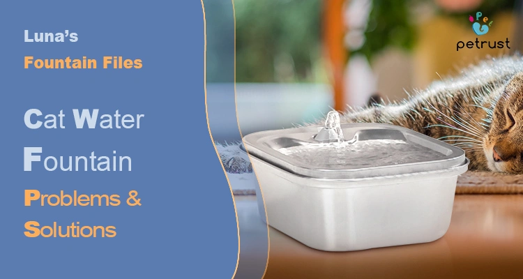 A white and silver stainless steel cat water fountain with rippling water next to a sleeping tabby cat, illustrating the solutions to common Cat Water Fountain Problems from "Luna's Fountain Files."