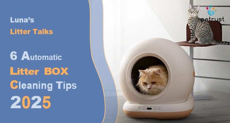 A fluffy ginger cat inside a self-cleaning litter box with a gray striped cat on a cat tree, illustrating automatic litter box cleaning tips for a fresh, odor-free space.