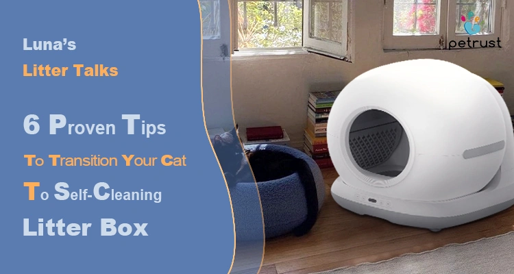 A banner with text "Luna's Litter Talks" and "6 Proven Tips to Transition Your Cat To Self-Cleaning Litter Box," featuring a modern white self-cleaning litter box for cats in a sunlit room.