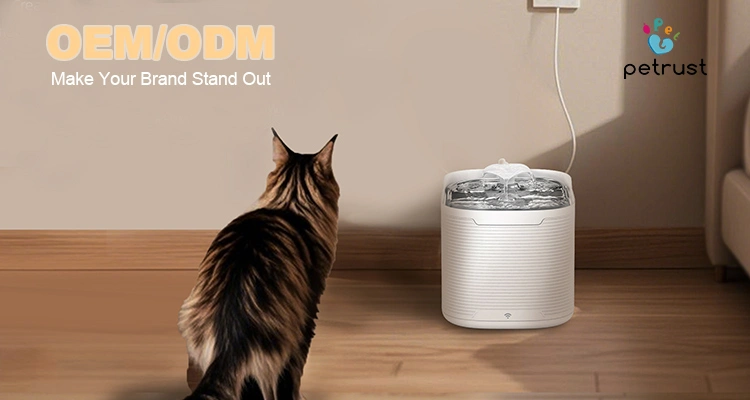 OEM ODM Opportunities Make Your Brand Stand Out Proven Cat Water Fountain Benefits for Cats (and Owners) | Luna’s Fountain Files