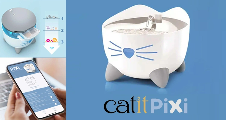 A stylized banner showing the Catit PIXI Smart Fountain, a cat-faced design, with inset images of its filter and a smartphone app, useful for a Petlibro vs Catit smart cat water fountain comparison.