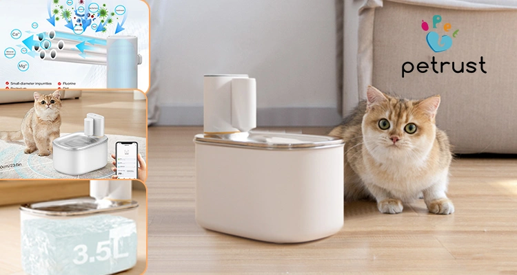 A golden tabby cat sitting next to the Petrust WF117 smart cat water fountain, with inset diagrams showing its filtration system, 3.5L capacity, and app control, providing a third option for a Petlibro vs Catit comparison.