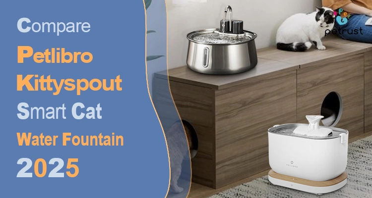 A banner comparing a stainless steel Kittyspout cat water fountain and a white Petlibro model, highlighting the differences between Petlibro vs Kittyspout to find the best cat water fountain for 2025.
