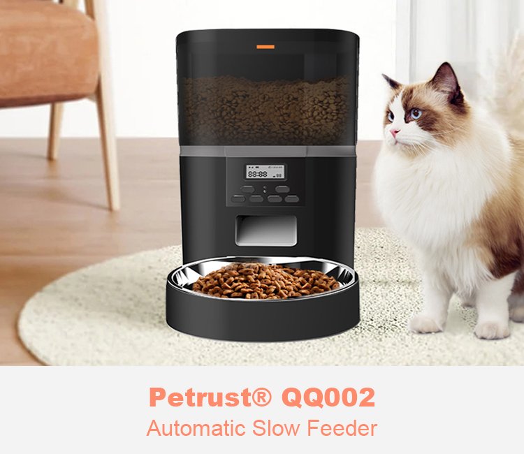 A Ragdoll cat stands next to a black Petrust QQ002 automatic slow feeder, which is filled with food and features a large stainless steel bowl, highlighting its modern design.