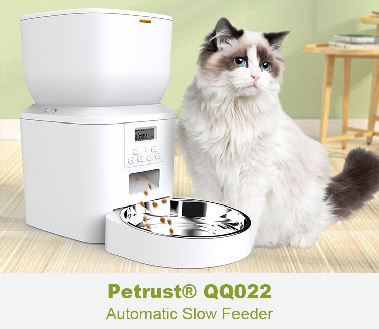A fluffy Ragdoll cat with blue eyes sits next to a white Petrust QQ022 automatic slow feeder that is dispensing kibble, showcasing the design and function of the product.
