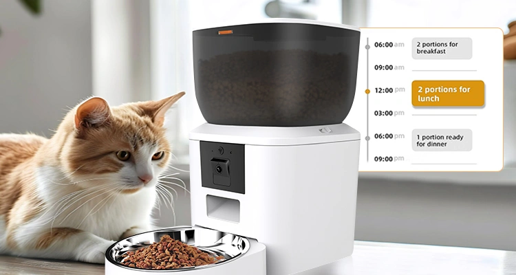 A ginger cat looking at a white portion control automatic cat feeder with a diagram showing a customizable feeding schedule, illustrating its precise portion sizes.