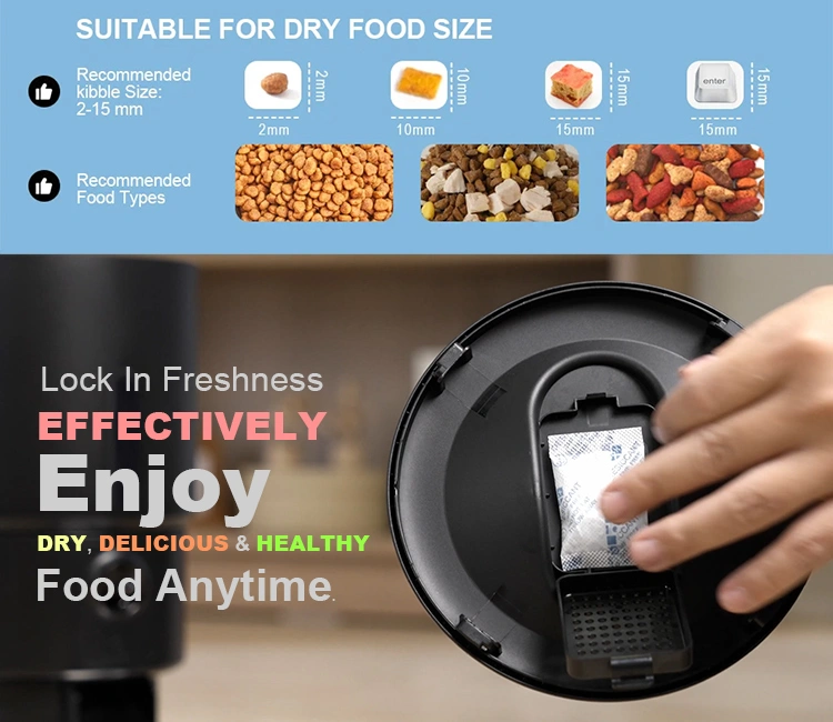 A close-up of a Petrust automatic cat feeder's lid and an infographic about kibble size and food freshness, detailing practical automatic cat feeder features that enhance food quality.
